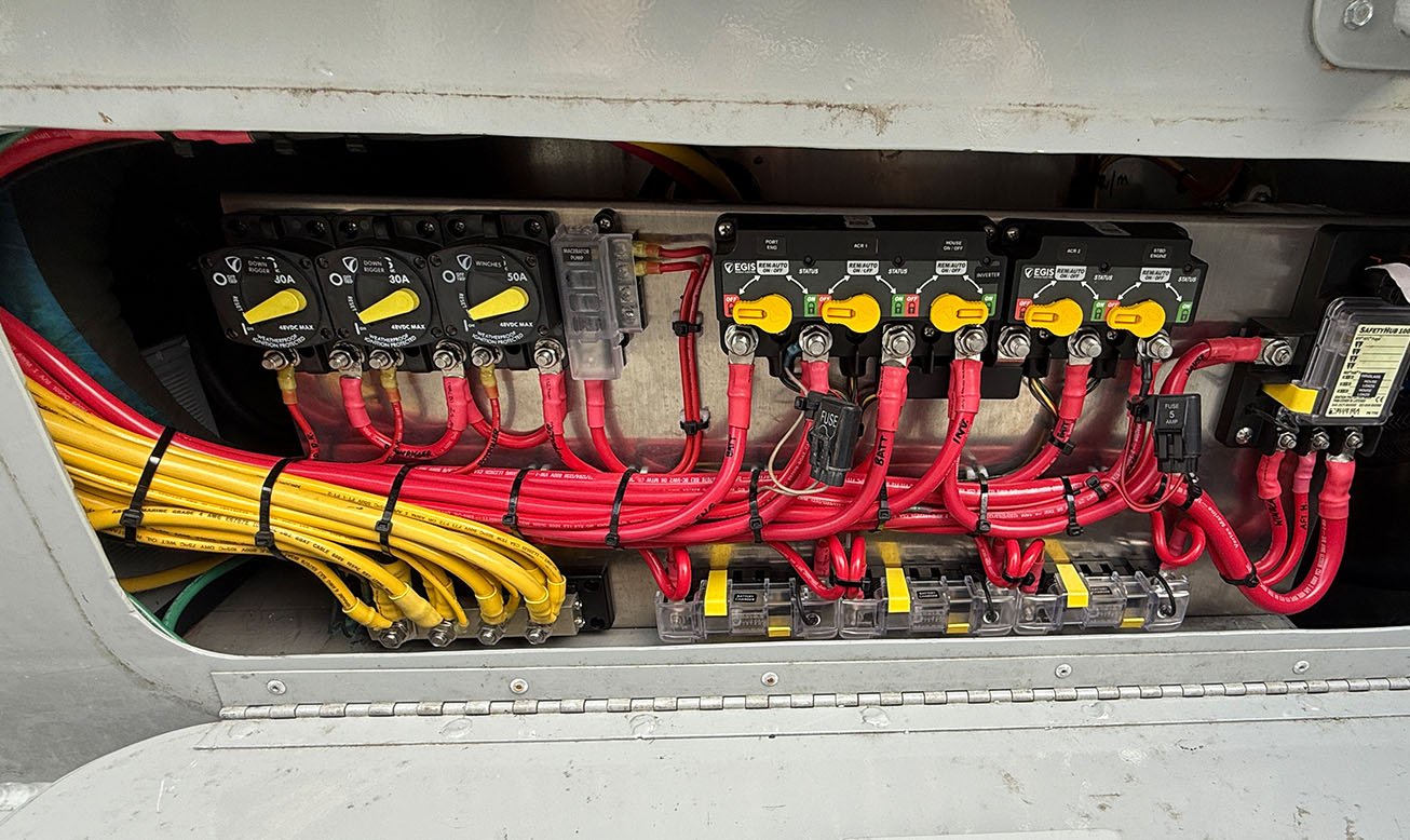 Marine electrical panel with organized wiring and battery switches